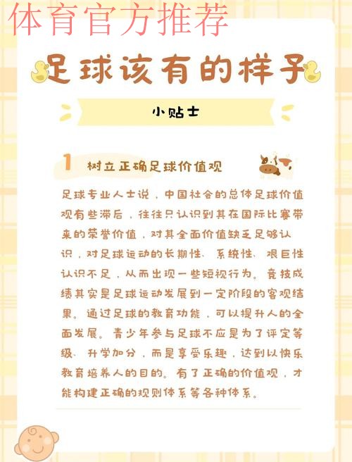 中国足球系列报道之二:职业足球在曲折中成长